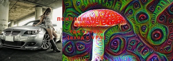 МДПВ Белокуриха