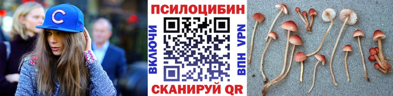 Галлюциногенные грибы GOLDEN TEACHER  MEGA маркетплейс  Шарыпово 